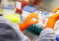 Imvanex aşısı nedir? Imvanex aşısı Maymun çiçeğine karşı etkili mi?