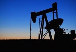 Doğal gaz ve petrol kararı! Türkiye harekete geçti...