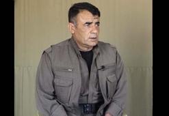 Mehmet Doğan kimdir, PKK’lı terörist Mehmet Doğan öldürüldü mü?