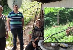 Ayılarla arkadaş oldu! Her gün ziyaretine geliyorlar: 'Alıştık, hiç korkmuyoruz'