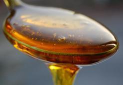 Bal fiyatları uçuşa geçti! Kilosu...