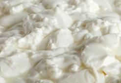 Güçlü bir probiyotik, vitamin ve mineral bakımından çok zengin! Osteoporozu önlüyor, enerji veriyor! Suyunu sakın dökmeyin çünkü...
