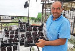Hobi olarak başladı, şimdi 25 günde 300 bin lira kazanıyor!