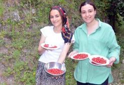 Kilosu 200 liradan satılıyor! Kapış kapış satılıyor! Kadınların geçim kaynağı oldu
