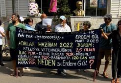 Adalar Belediyesi önünde hayvanseverlerden eylem