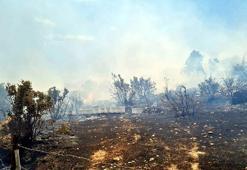 Bodrum, Seydikemer ve Fethiye'de orman yangını!