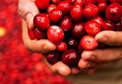 Kan şekerini düşürüyor, tam bir vitamin deposu! Antibakteriyel, doğal bir idrar söktürücü! Uzmanlar mucize meyveyi keşfetti, bir ay boyunca her gün tüketen...