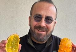 Yurtdışına çıktığında ilk ziyaret ettiği mekanları açıkladı ünlü gurme Nihat Ertekin 'salaş restoran' lezzetini anlattı