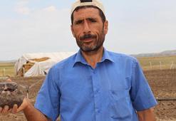 Tarlada çalışırken buldu! İnternette araştırınca gözlerine inanamadı