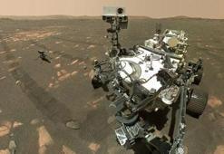 Mars'ta yaşam aranırken bakın ne bulundu?