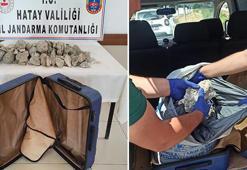 Balina kusmuğu ele geçirildi! O ilimizde 4 milyon TL'lik vurgun