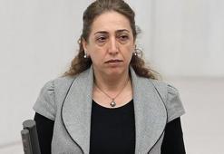 DBP milletvekili Aydeniz'in fezlekesi TBMM Başkanlığı'na ulaştı