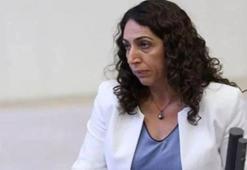DBP'li Salihe Aydeniz hakkında 3 ayrı suçlama