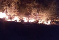 Marmaris'te orman yangını sürüyor! Alevlerin tehdit ettiği bölge tahliye edildi