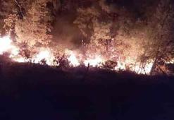 Marmaris yangını söndürüldü mü, yangının sebebi ne, yangını kim çıkardı? Marmaris yangın son durum!