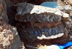 Denizli'de tek tek tespit edildi! 8 milyon yıllık...