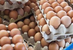 Yumurta fiyatlarıyla ilgili flaş açıklama! Soruşturma devam ediyor
