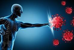 Tip 2 diyabet, alzheimer ve demans riskini ortadan kaldırıyor! Bağışıklığı güçlendiriyor,  antioksidan deposu, C-E vitaminleri ve...
