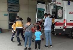 Arıların saldırısına uğradı, hastaneye kaldırıldı