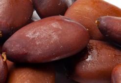 Akciğerleri tamamen temizliyor, kansere karşı çok etkili! Cinsel gücü ve sperm sayısını artırıyor, kan şekerini dengeliyor! Günde iki kere tüketen...