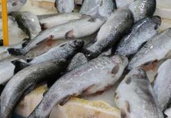 Balık fiyatları ile ilgili flaş açıklama! Hamsi, istavrit, barbun ve mezgit...