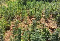 Diyarbakır'da bugün operasyon başlatıldı! 1017 asker görev alıyor