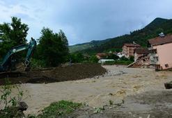 Tarım ve Orman Bakanlığı, taşkınların bilançosunu açıkladı