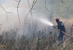 Tekirdağ’da çıkan yangında 50 dönüm alan zarar gördü