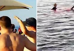 Tatil beldesinde köpekbalığı dehşeti! Hayatını kaybetti