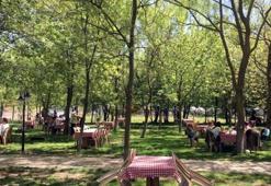 İstanbul'da ormanlara giriş yasaklandı