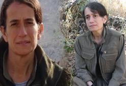 Sözde PKK-HPG konseyi üyesi terörist Hanım Demir etkisiz hale getirildi!