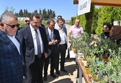 Aromaterapi Festivali renkli görüntülere sahne oldu