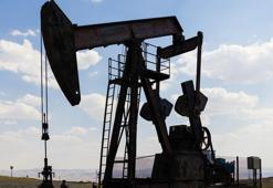 Petrol müjdesi! Gaziantep, Şanlıurfa, Adıyaman, Diyarbakır ve Malatya'ya sırada bekliyor