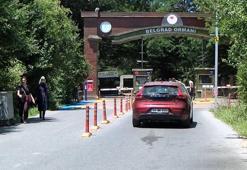 İstanbul'da ormanlarda ateş yakma yasağı başladı