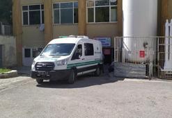 Kene teması sonrası ölenlerin sayısı 10’a yükseldi
