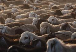 Kurban kesiminde okunacak dua hangisi? Diyanet kurban duası Arapça ve Türkçe okunuşu