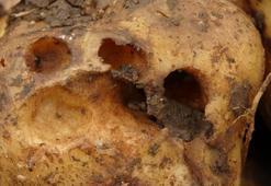 Trabzon’da "Katil salyangoz" istilası