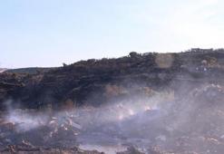 Çeşme'de makilik alanda çıkan yangın kontrol altına alındı