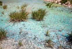 İSKİ'den Sazlıdere Barajı'ndaki görüntüyle ilgili açıklama: Doğal süreç