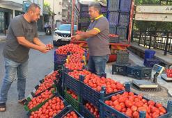 Salçalık domates fiyatları el yakıyor!
