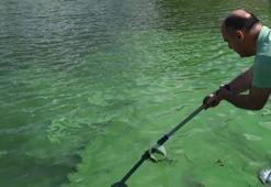 Sazlıdere'deki renk değişimine ilişkin açıklama! 'Siyanobakteri artışı olduğunu gözlemledik'