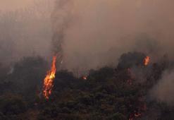 İspanya’da orman yangını: 2 bin 300 kişi tahliye edildi