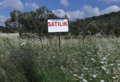 Tarlaları ‘imarlı’ diye satmaya çalışan dolandırıcılara karşı uyarı