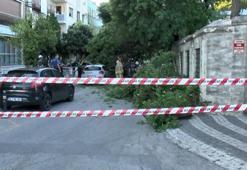 Üsküdar'da ağaç devrildi; otomobil hasar gördü