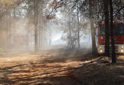 Gaziantep'te orman yangını! Vali Gül'den açıklama