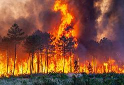 İspanya’da 30 farklı noktada yangın! 2 bin hektarlık alan küle döndü