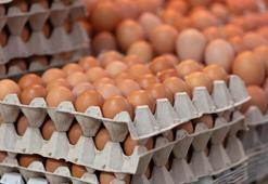 Yumurta fiyatlarına yüzde 50 zam! Bir kolisi...