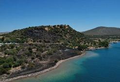 Çeşme'de 2 hektar otluk alan küle döndü! Yanan alan dronla görüntülendi