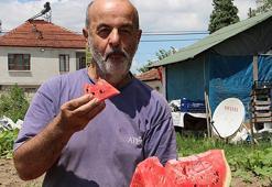 Yeni kazanç kapısı! Kilosu 5 lira, hedef  5 bin ton