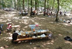 Orman yangınlarına ilişkin flaş genelge! 31 Temmuz'a kadar yasaklandı, uyarı geldi